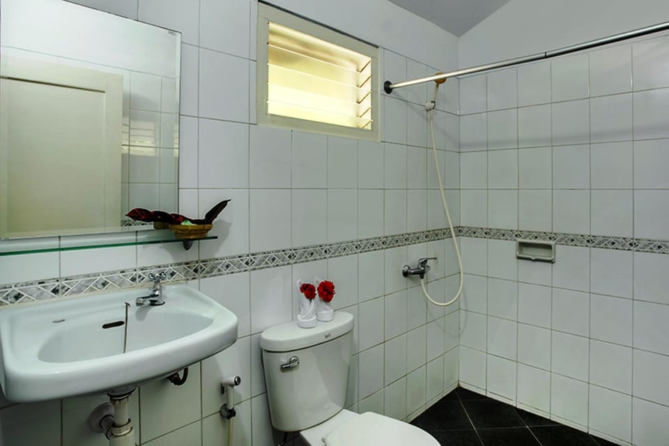 Shower, free toiletries, bidet, towels