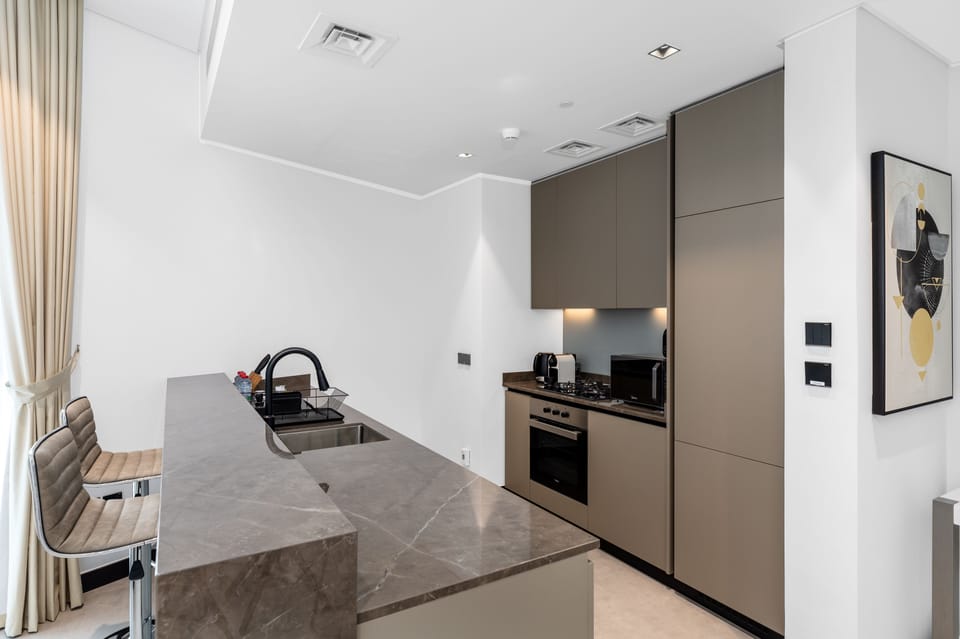 Deluxe Apartment | Private kitchen | Fridge, microwave, oven, dishwasher