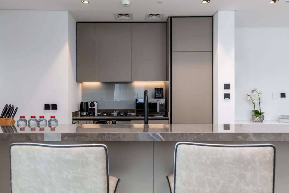 Deluxe Apartment | Private kitchen | Fridge, microwave, oven, dishwasher