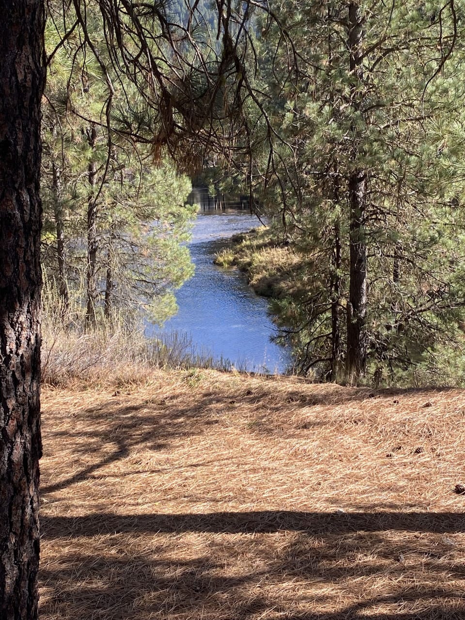 Garden Valley Cabin with River View!