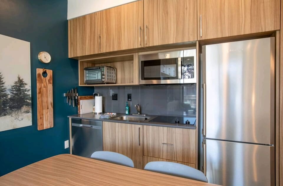 Kitchen with all the basic amenities.