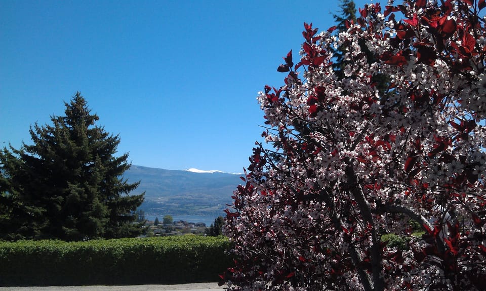 Land view from property
