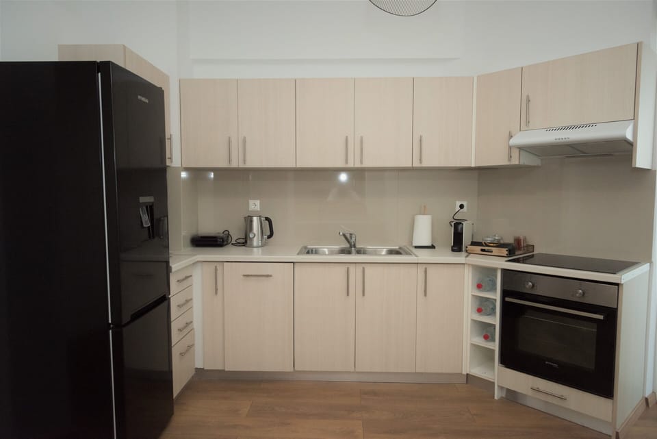 City Apartment | Private kitchen | Fridge, oven, stovetop, dishwasher