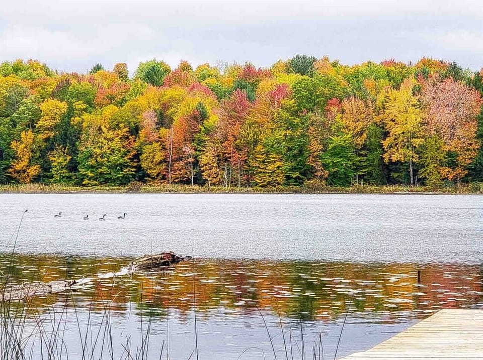 Stunning fall colors reflecting on the private lake