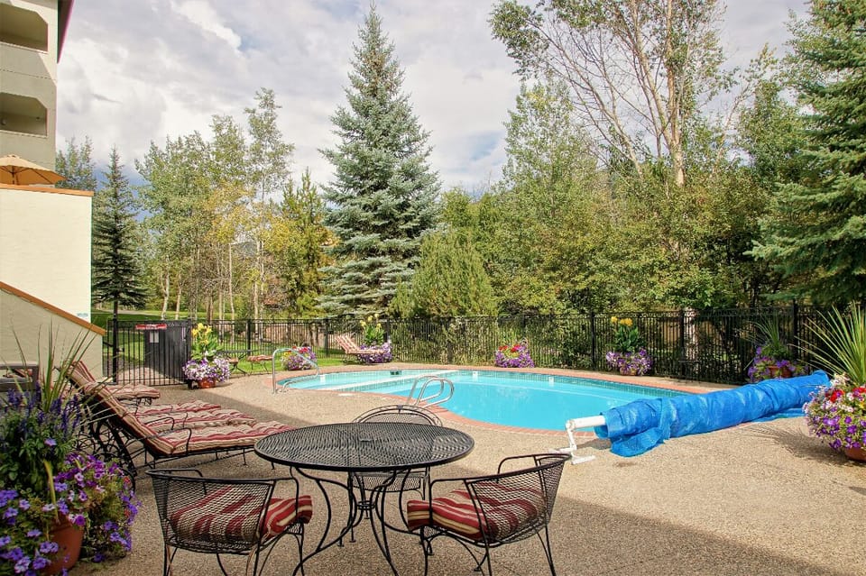 Pool Area in Summer