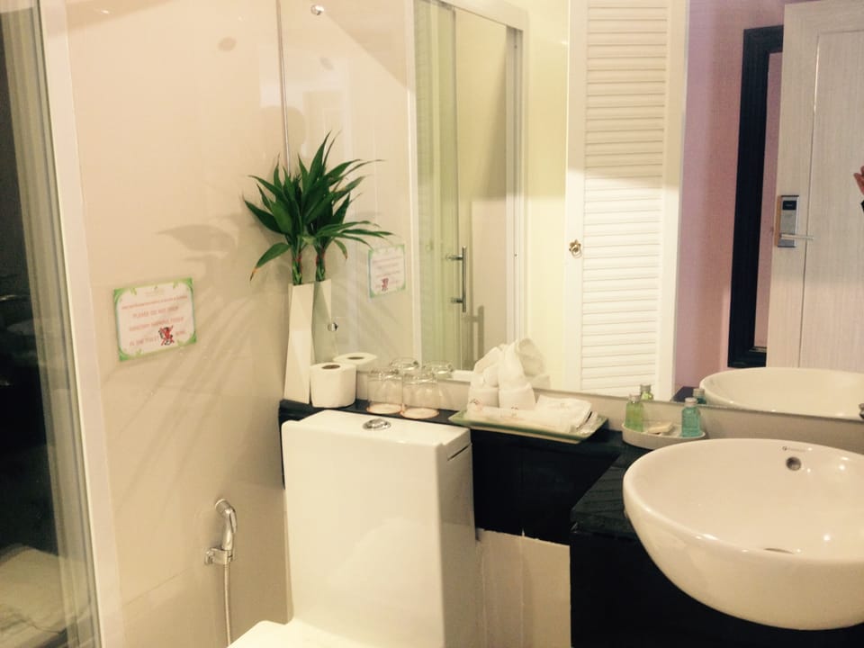 Shower, free toiletries, hair dryer, towels