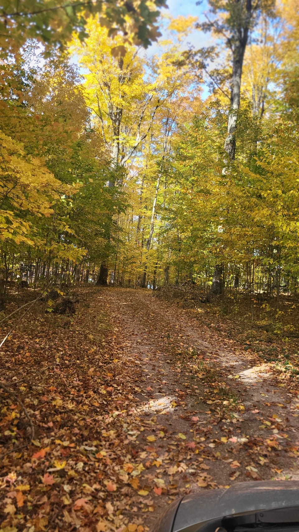 Driveway to Lakehouse Dream in the fall. 