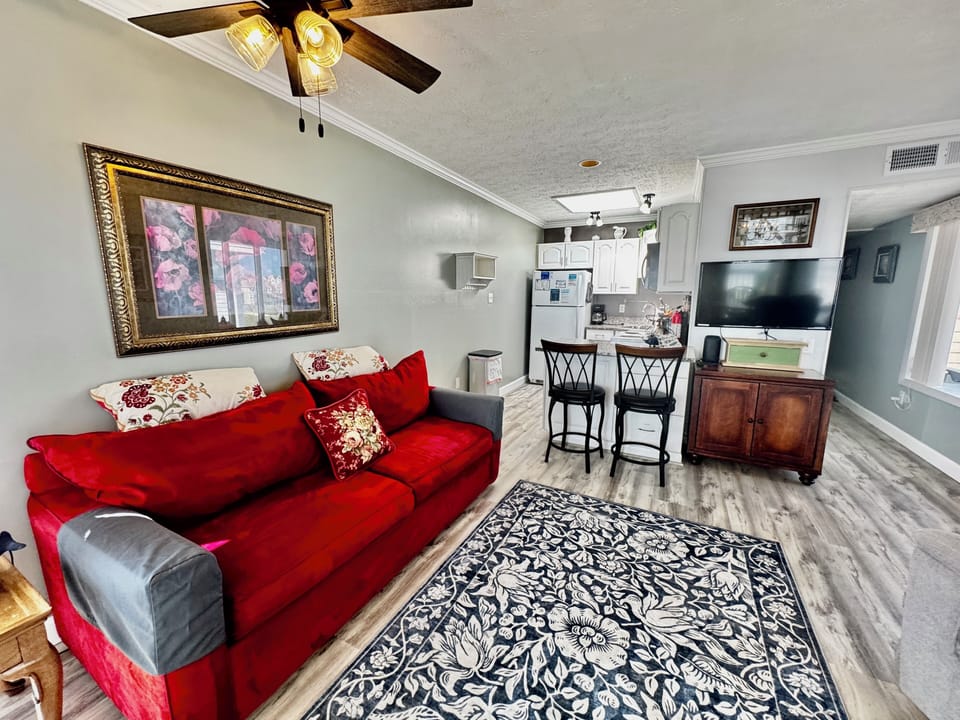 Living room and kitchen