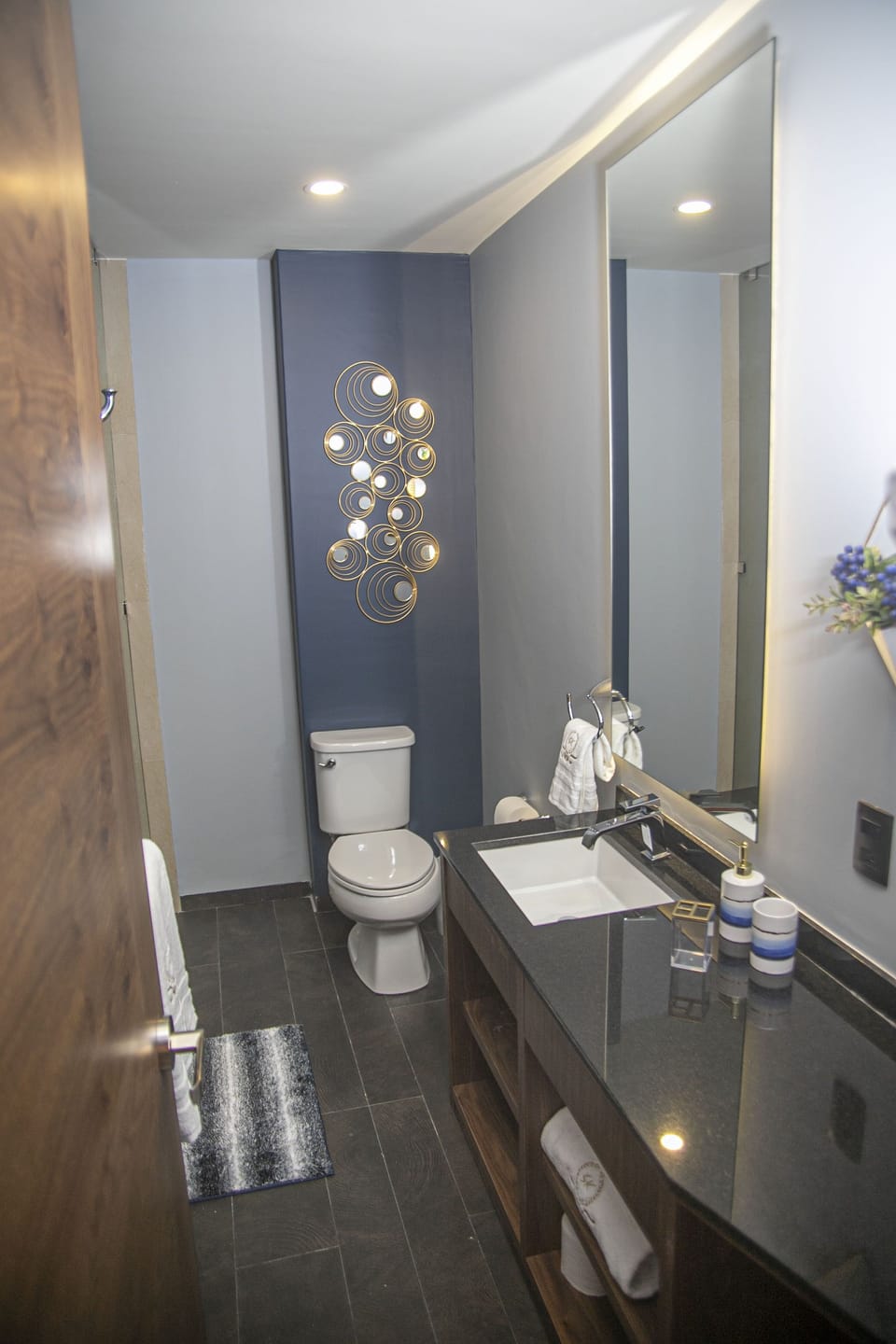 Business Suites Kepler Apartment hotel in Mexico City