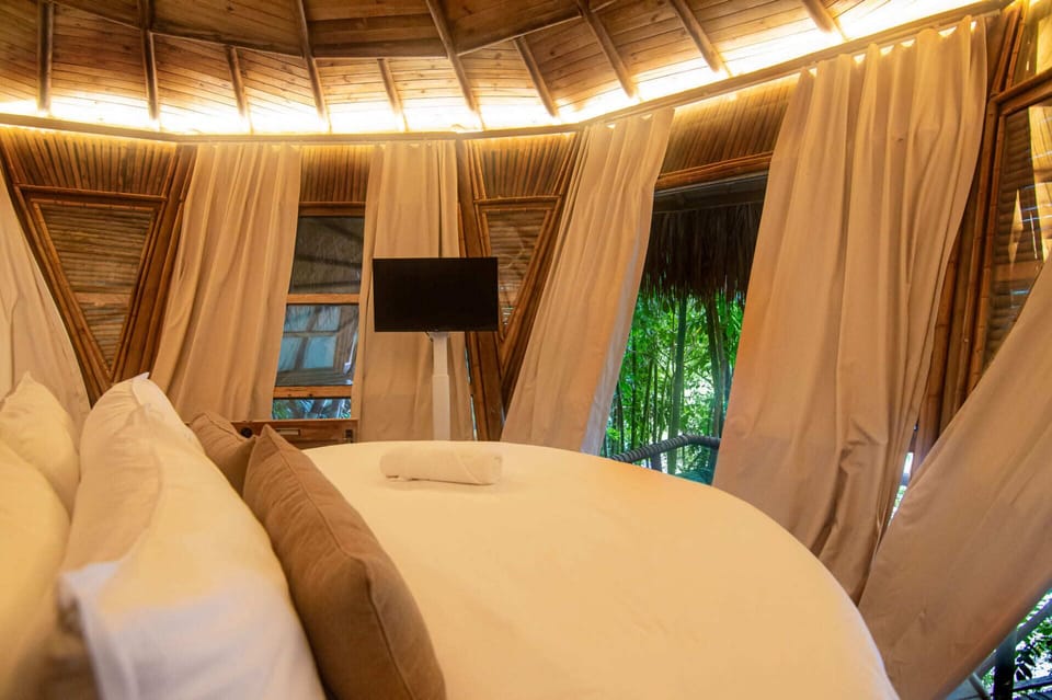 Premium bedding, minibar, in-room safe, soundproofing