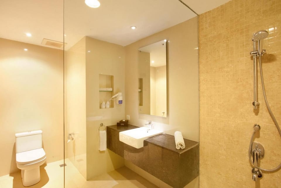 Shower, hair dryer