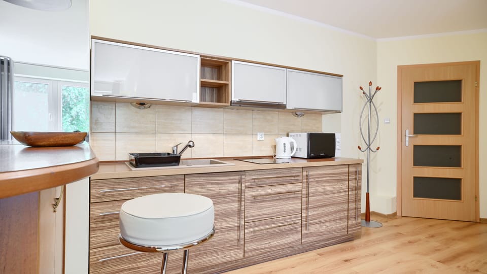 Apartment (29) | Private kitchenette | Fridge, microwave, stovetop, electric kettle