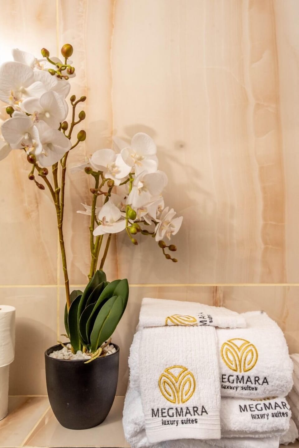 Shower, free toiletries, slippers, bidet