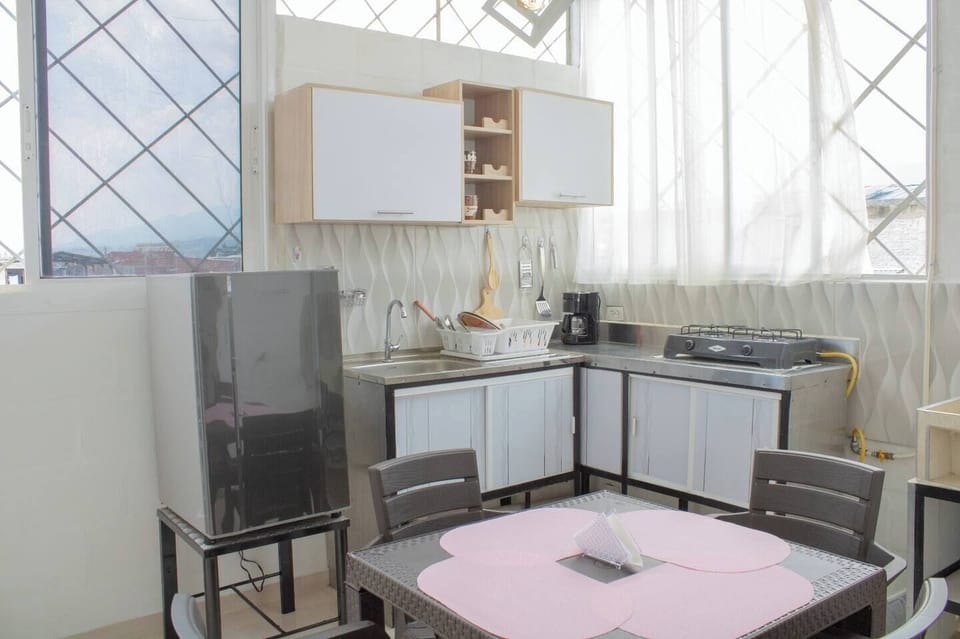 Executive Apartment, 1 Double Bed with Sofa bed, Air conditioning, City View | Private kitchen | Fridge, dishwasher, rice cooker, blender