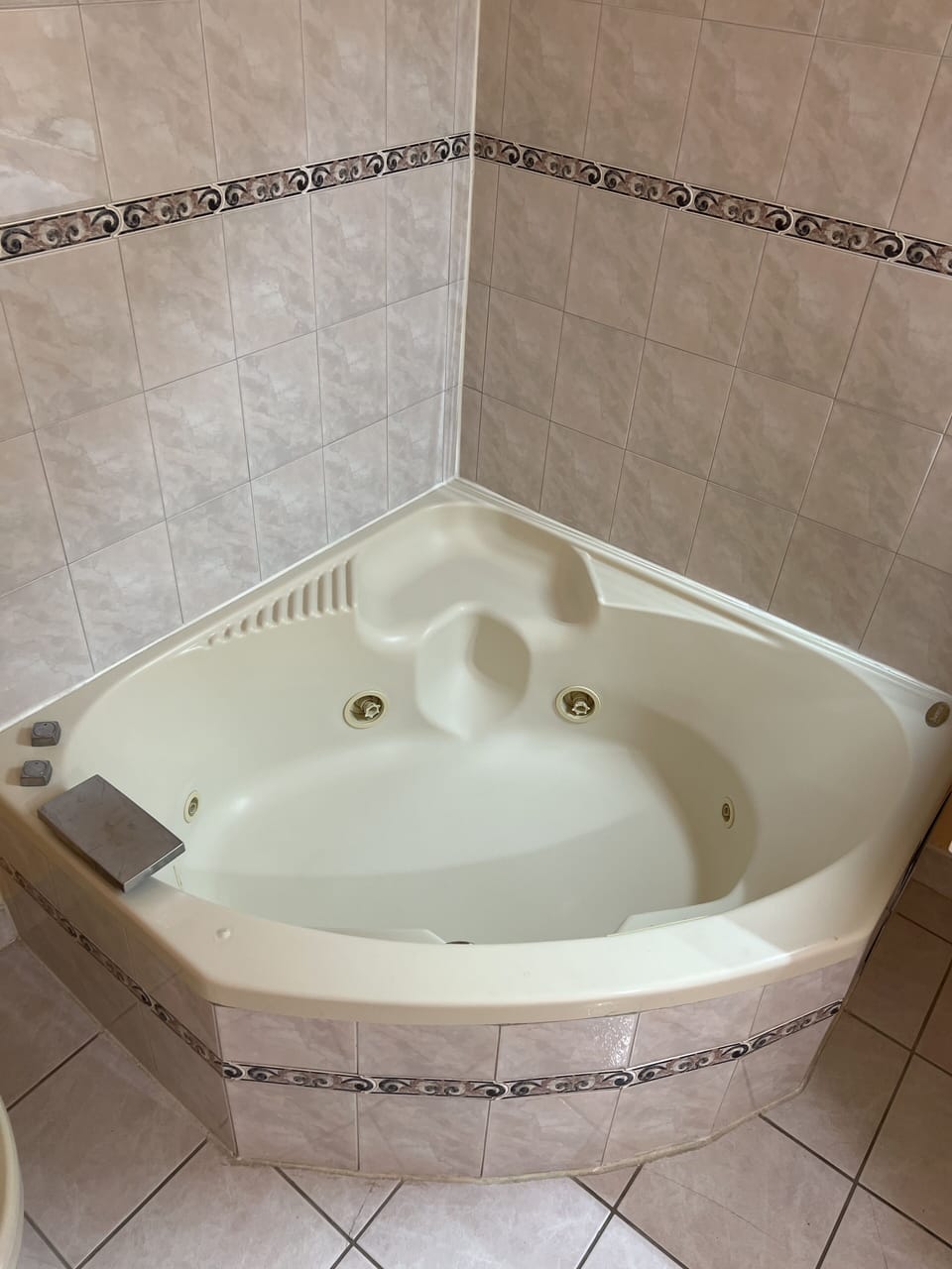 Single King Bed With Hot Tub | Bathroom | Free toiletries