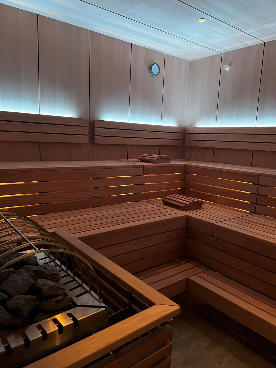 Sauna, steam room