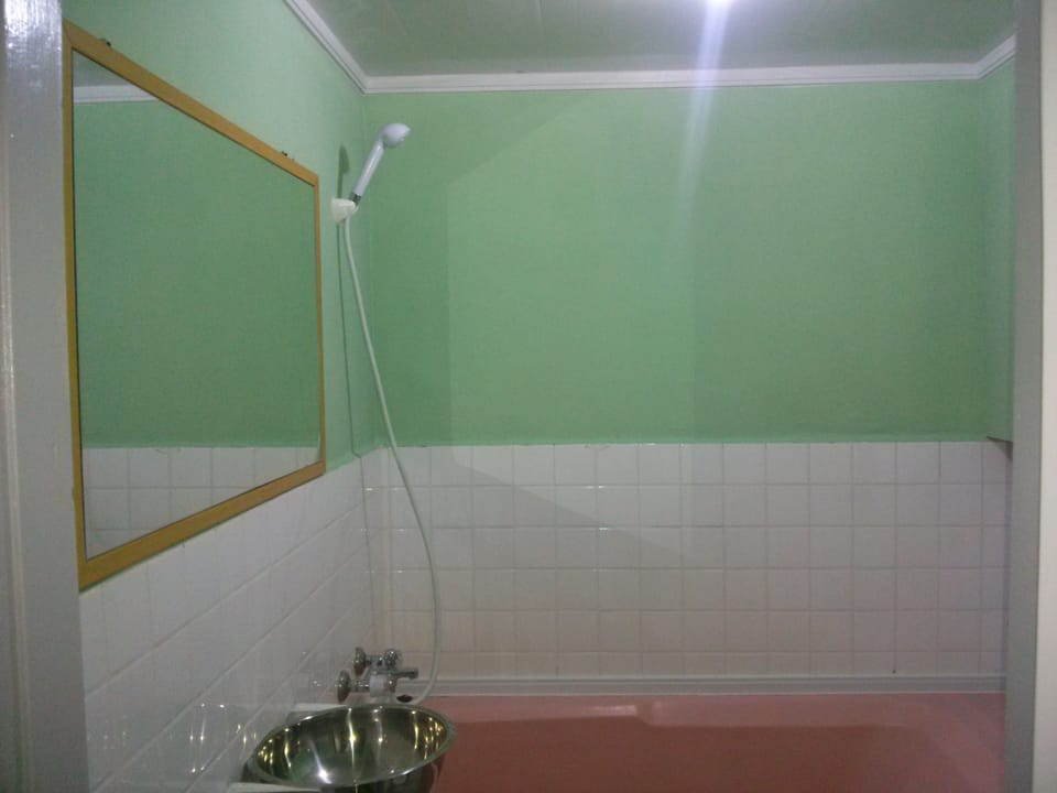 Twin Room | Bathroom | Shower, hair dryer, towels