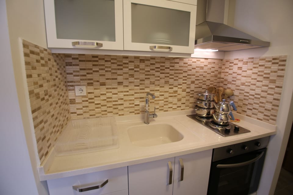 Standard Apartment, Kitchen | Private kitchen | Fridge