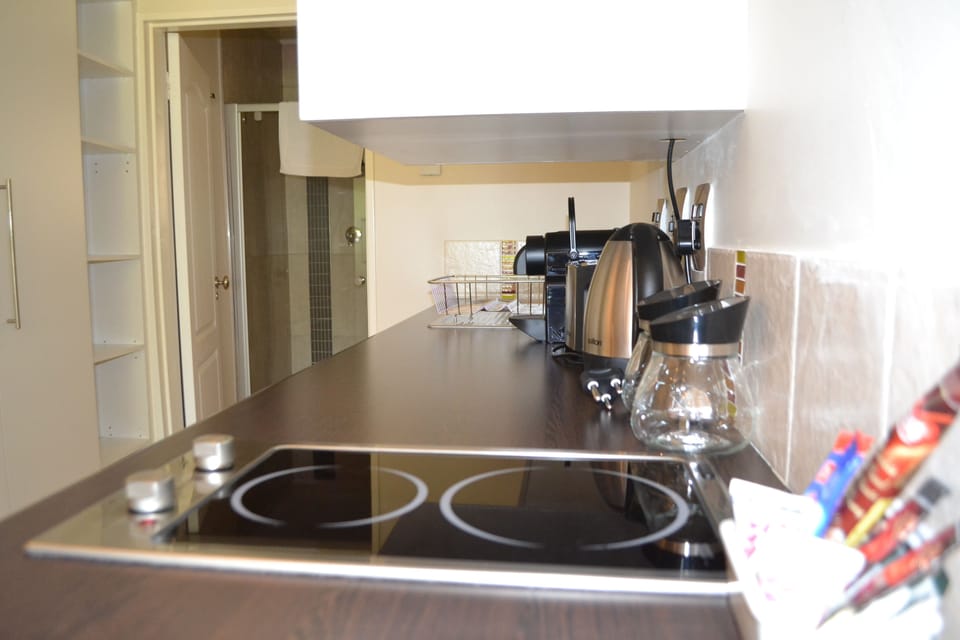 Full-size fridge, microwave, stovetop, espresso maker