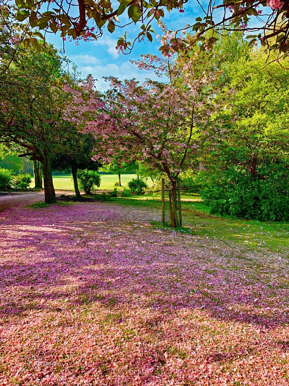 Land view from property