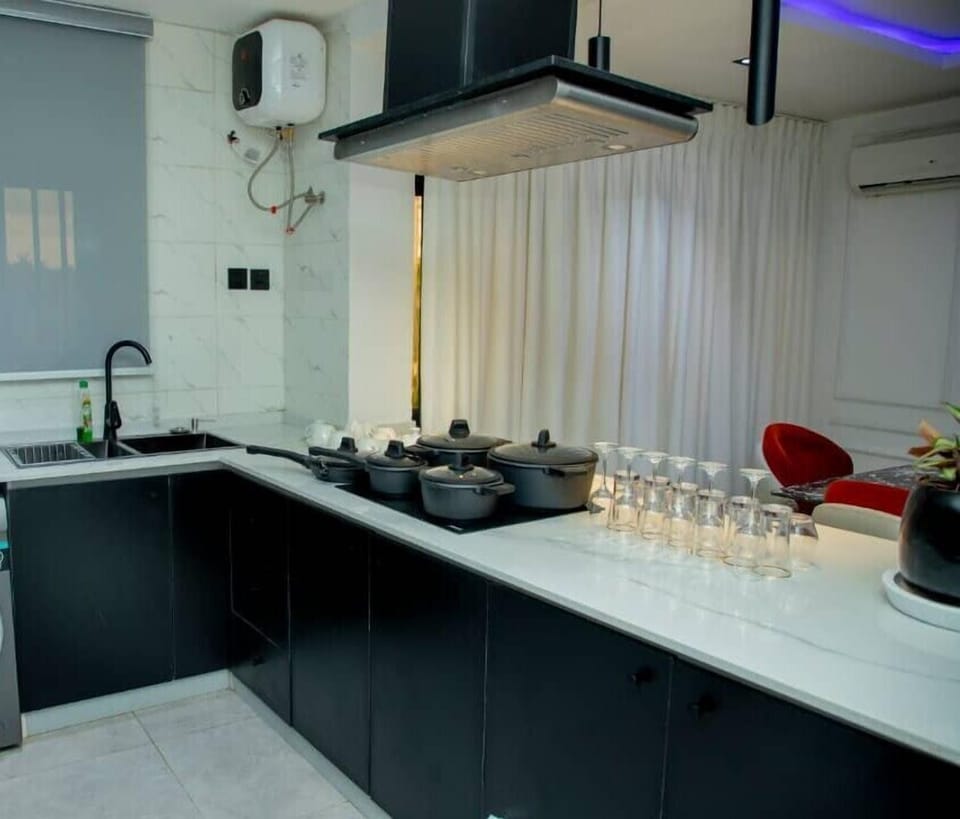 Executive Apartment | Private kitchen | Full-size fridge, microwave, oven, blender