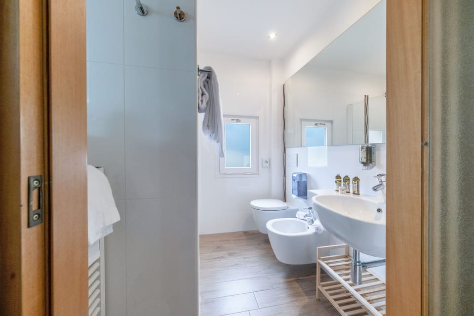 Deluxe Double Room | Bathroom | Shower, free toiletries, hair dryer, bathrobes