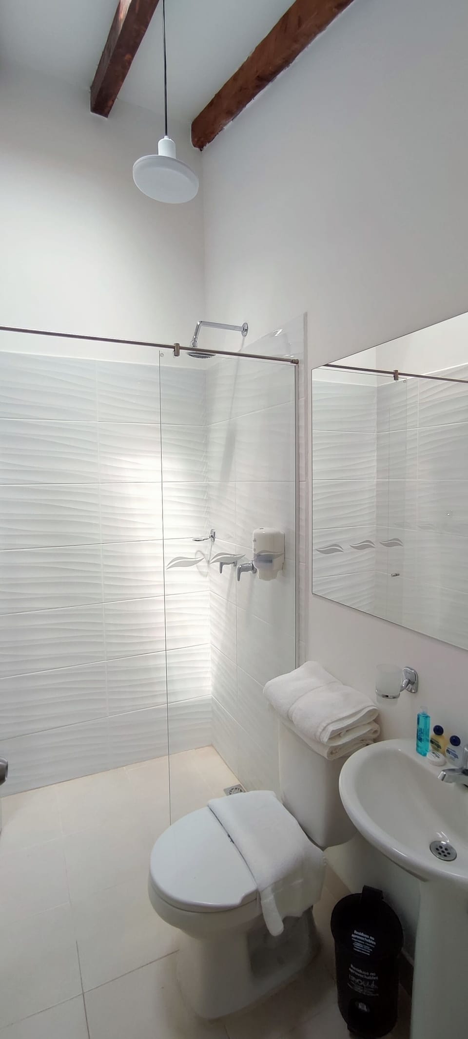 Basic Room | Bathroom | Towels, soap, shampoo, toilet paper