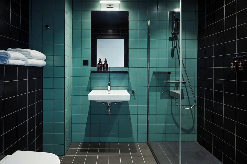 Shower, hair dryer, bidet, towels