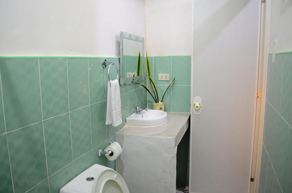 Shower, rainfall showerhead, bidet, towels