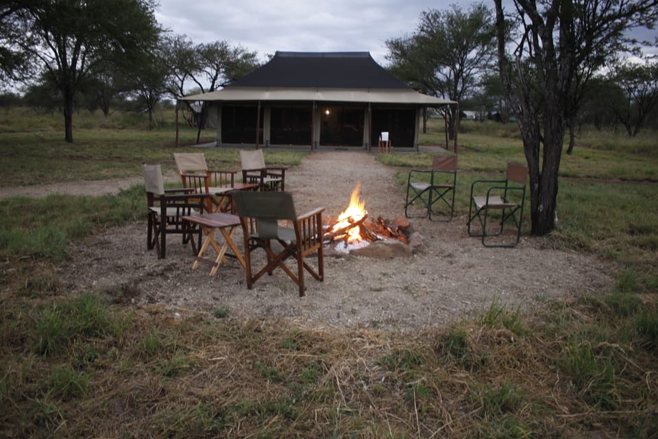 Osero Serengeti Luxury Tented Camp Luxury tent in Tanzania