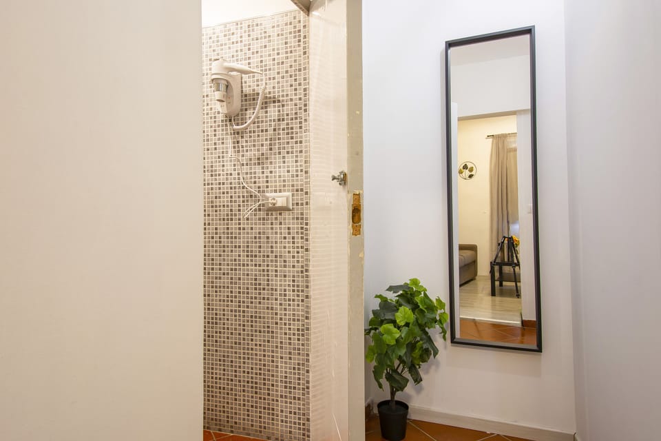 Deluxe Suite | Bathroom | Free toiletries, hair dryer