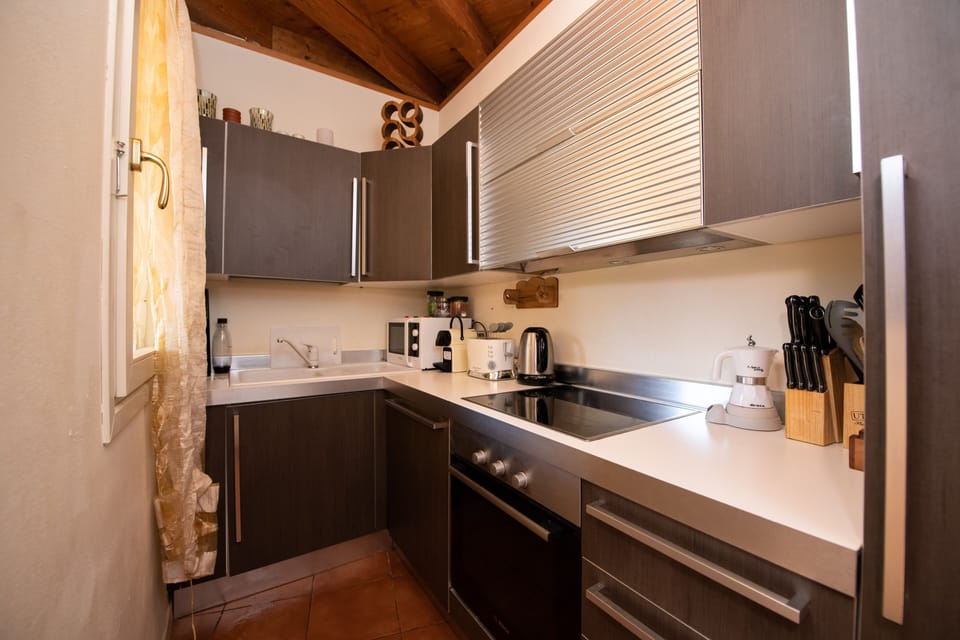 Club Apartment | Private kitchen | Fridge, microwave, oven, stovetop