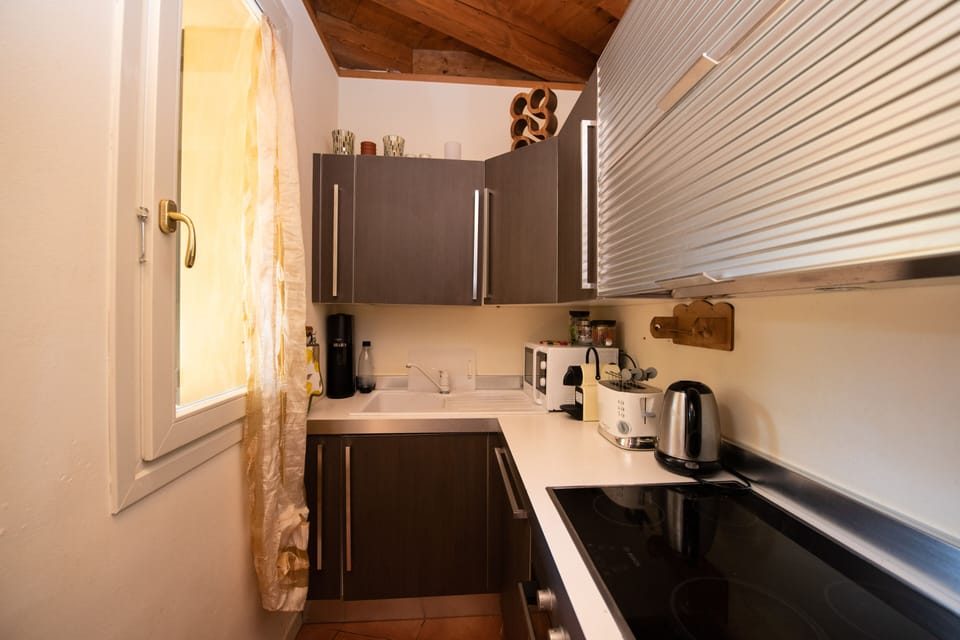 Club Apartment | Private kitchen | Fridge, microwave, oven, stovetop