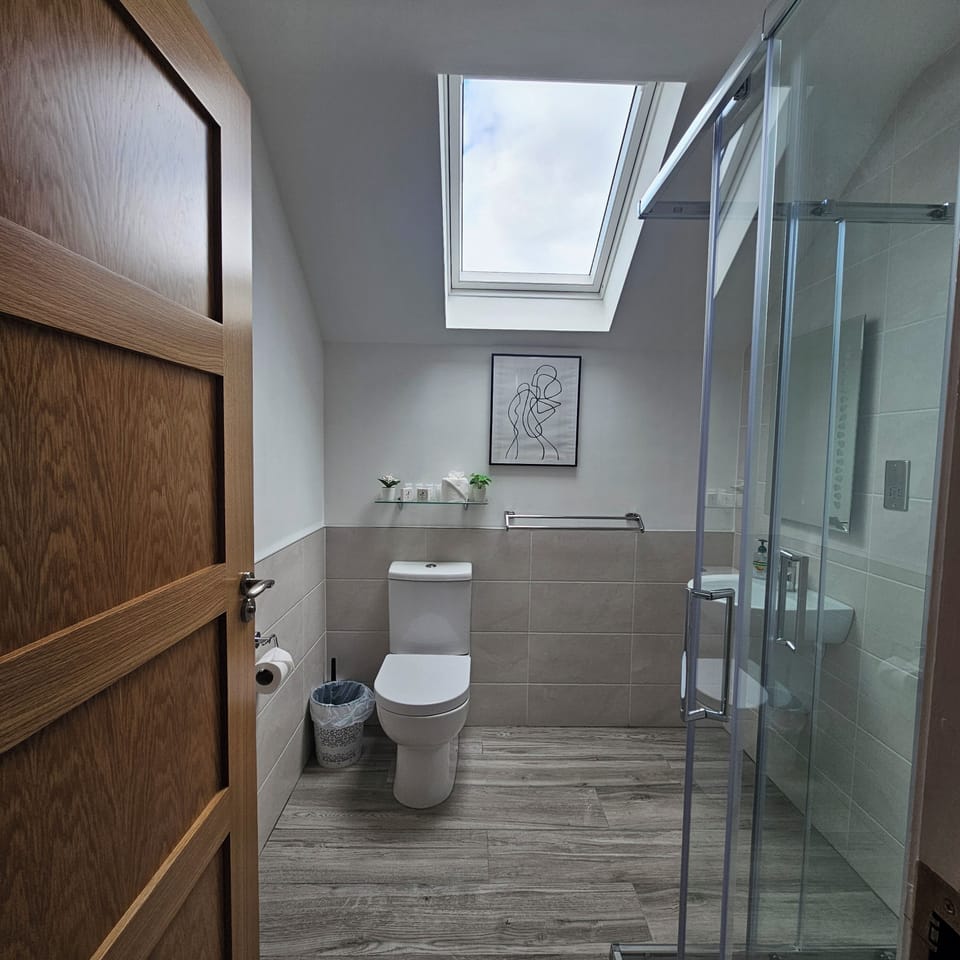 Luxury Double or Twin Room | Bathroom | Shower, hair dryer, towels, soap
