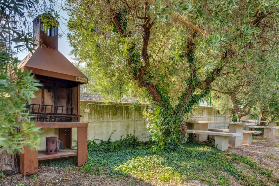 BBQ/picnic area