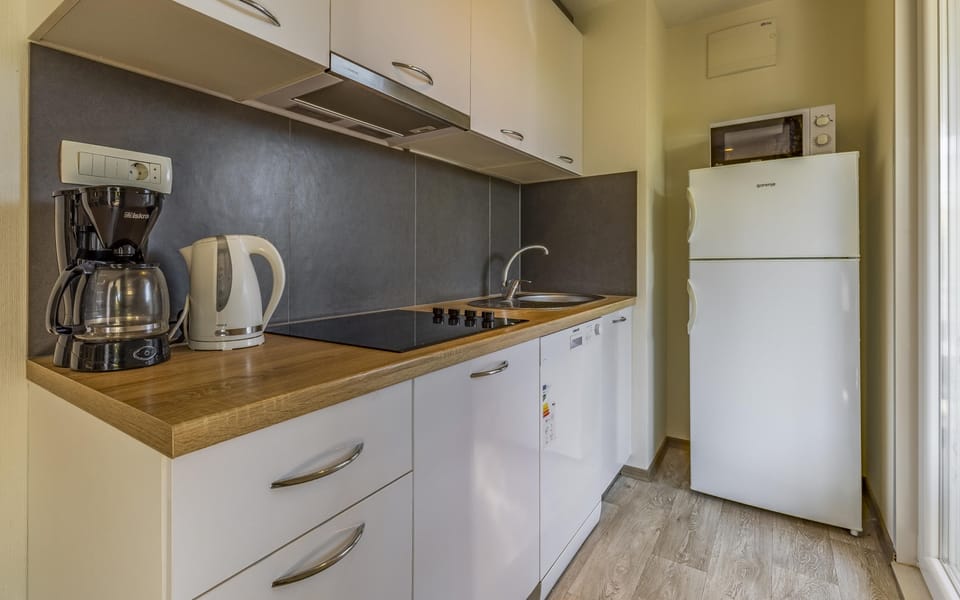 Fridge, stovetop, freezer