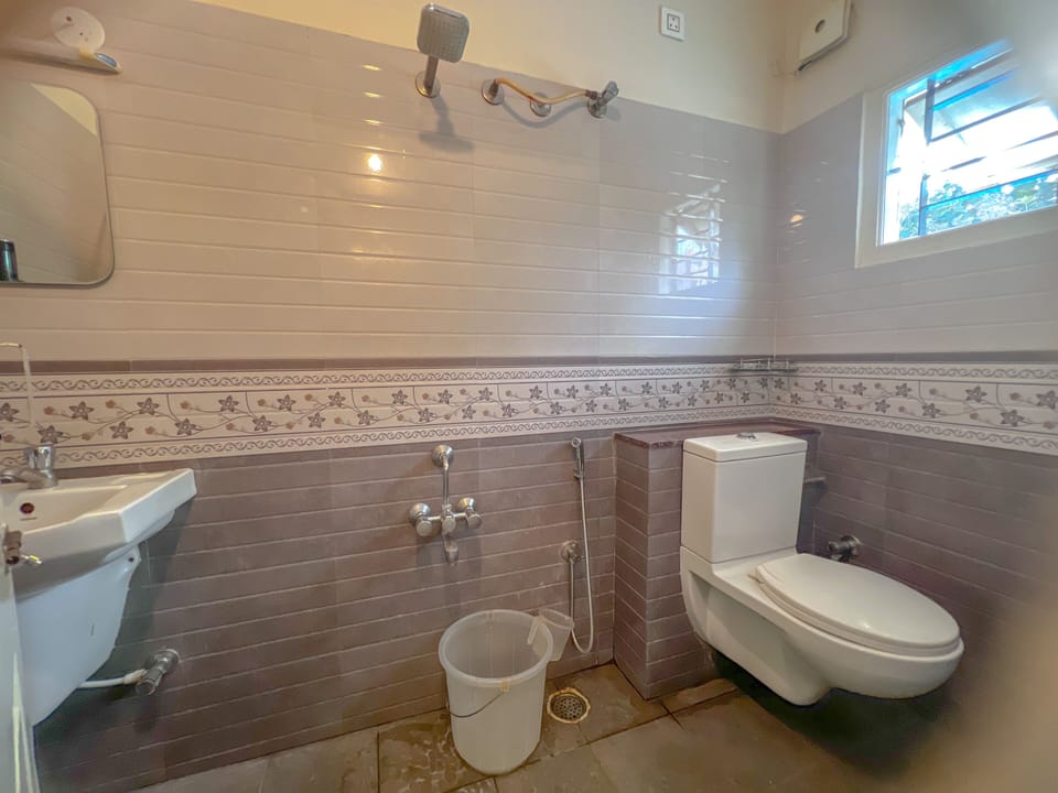 Deluxe Room | Bathroom | Free toiletries
