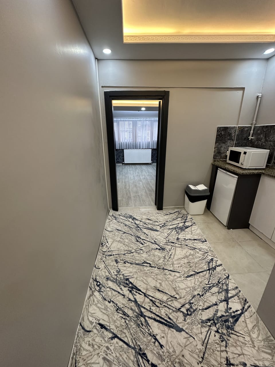 Luxury Apartment | Private kitchenette | Mini-fridge, microwave