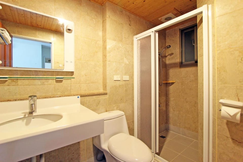 Shower, hair dryer, slippers, bidet
