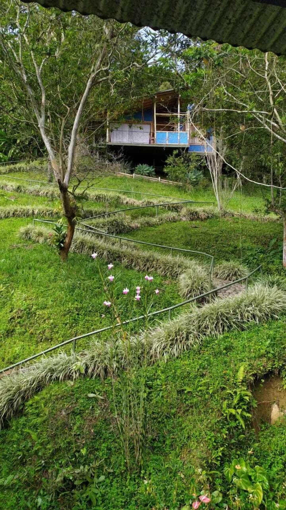 Cabin, Mountain View | 1 bedroom, premium bedding, down comforters, laptop workspace
