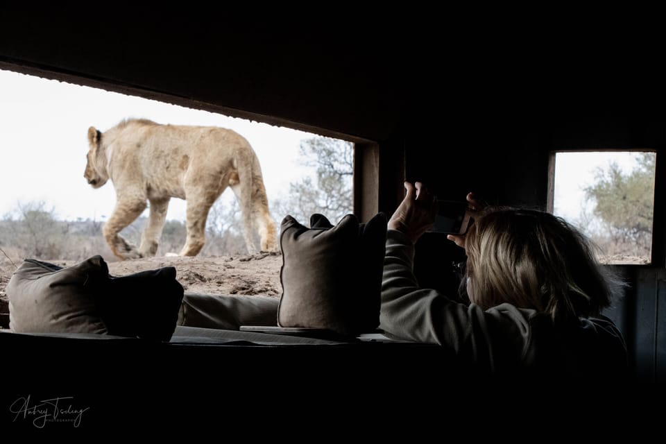 Mashatu Lodge - Mashatu Game Reserve Lodge in Africa