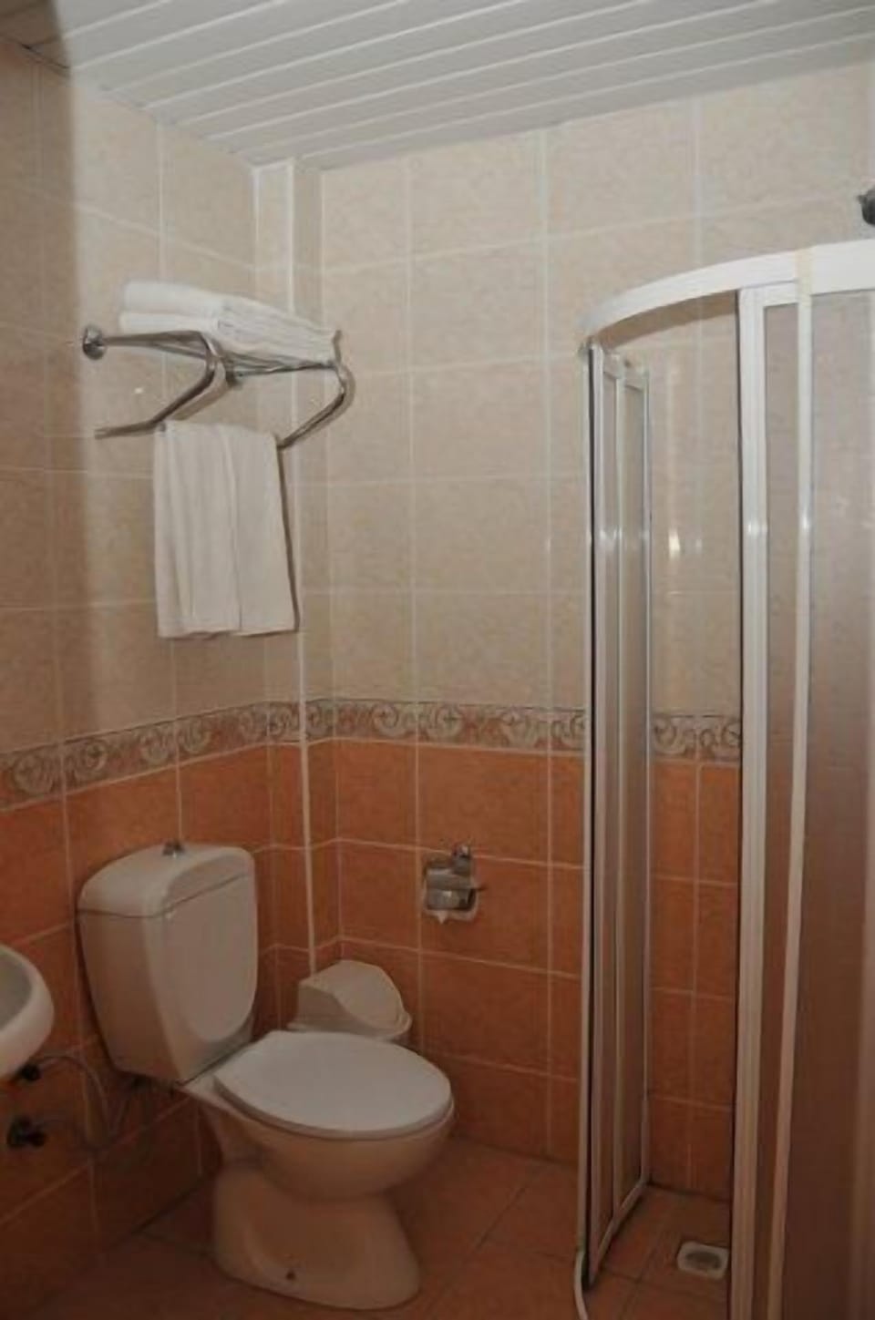 Shower, free toiletries, hair dryer