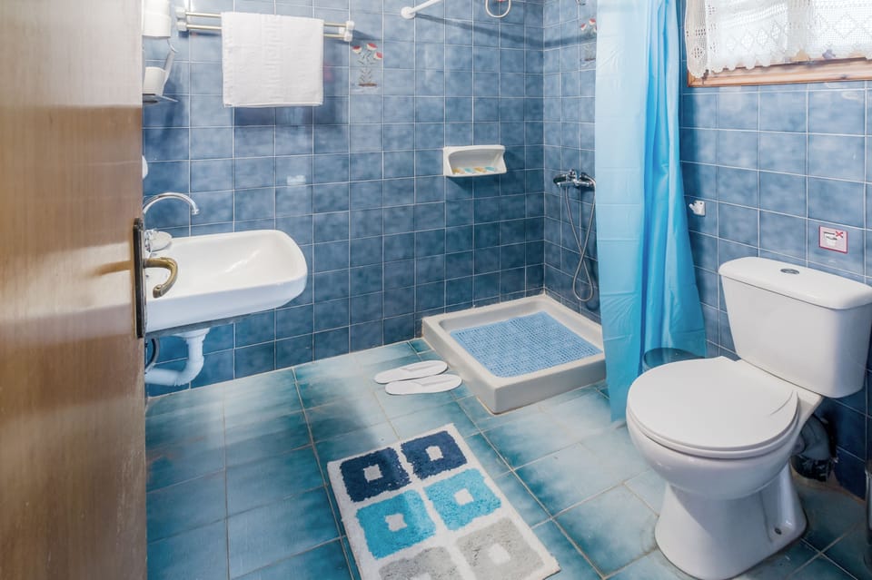 Basic Apartment | Bathroom | Shower, free toiletries, hair dryer, bathrobes
