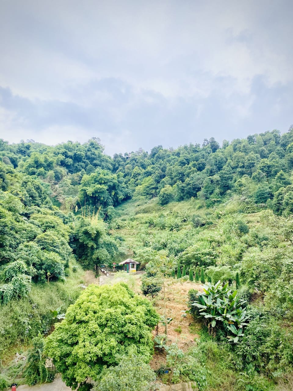 View from property