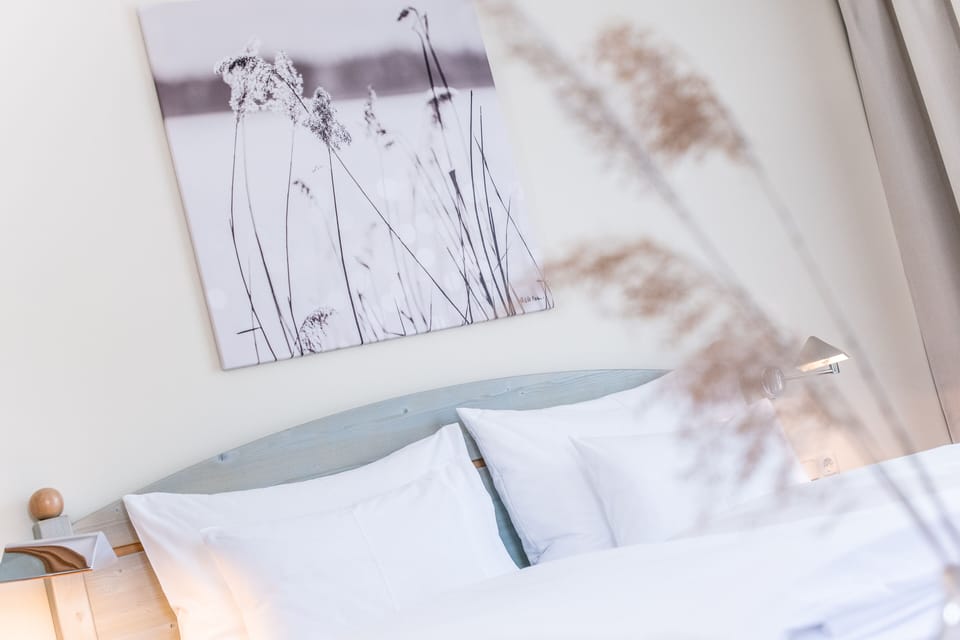 Comfort Double Room, 1 Queen Bed, Balcony, Lakeside | Hypo-allergenic bedding, in-room safe, blackout drapes, free WiFi
