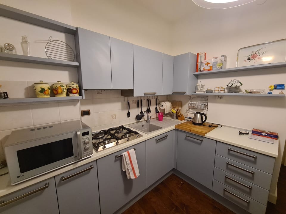 Basic Apartment | Private kitchen | Full-size fridge, microwave, oven, espresso maker