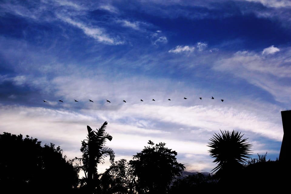 Standard Studio Suite | Street view