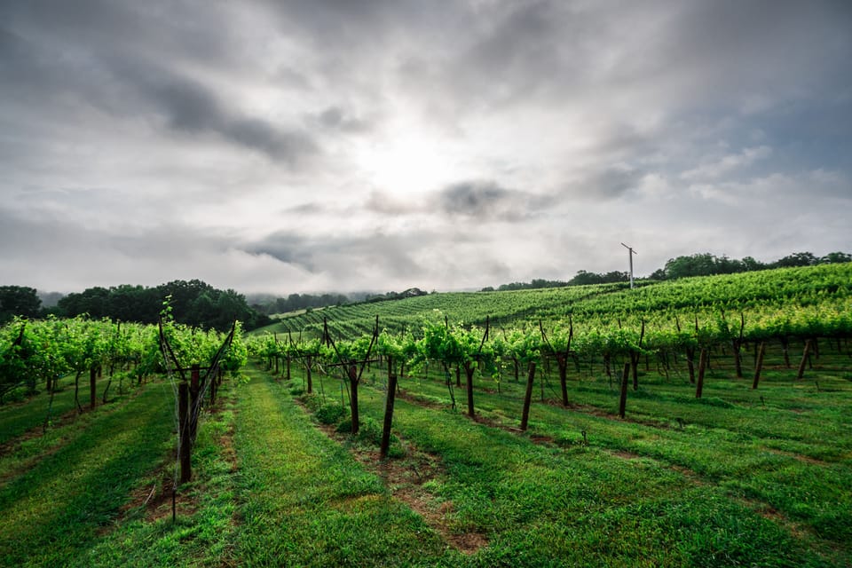 Cottage 1 | Living area | Smart TV, fireplace