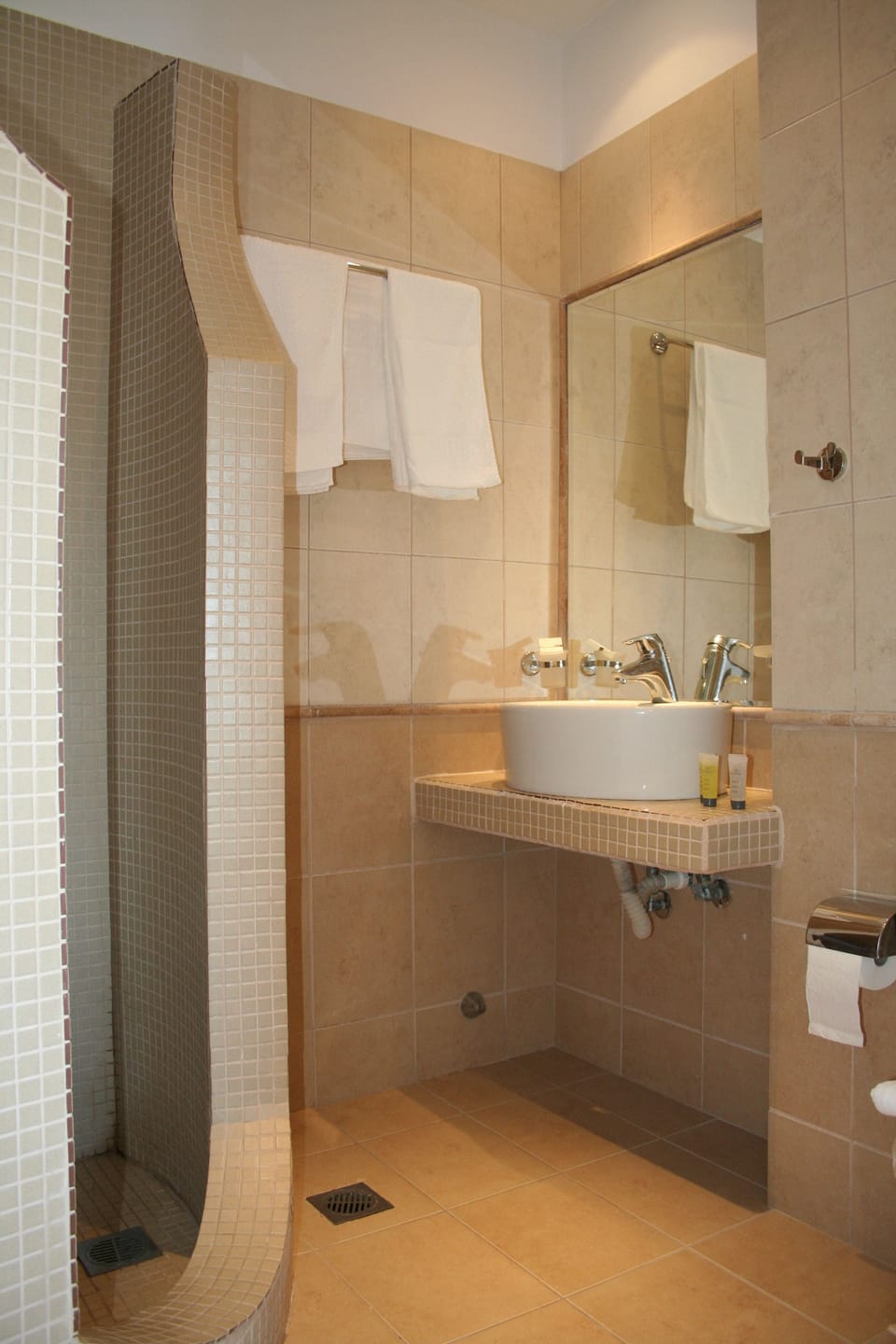 Shower, free toiletries, hair dryer, towels