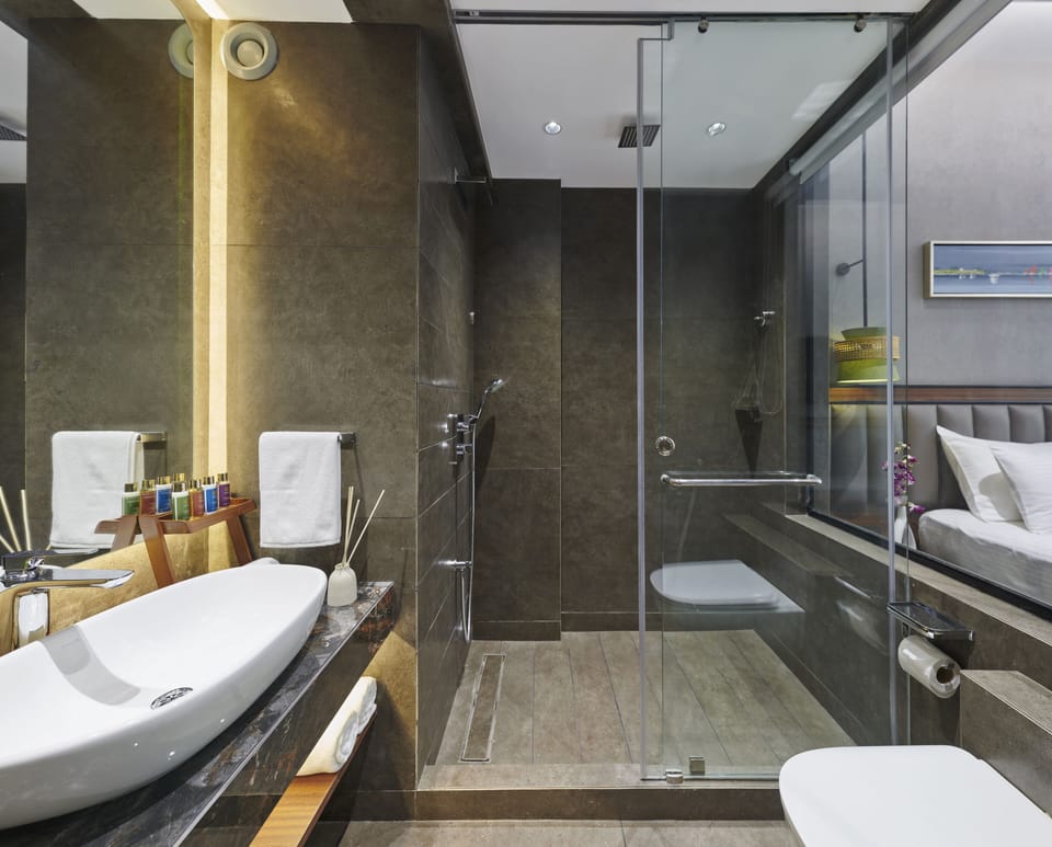 Shower, free toiletries, bidet, towels